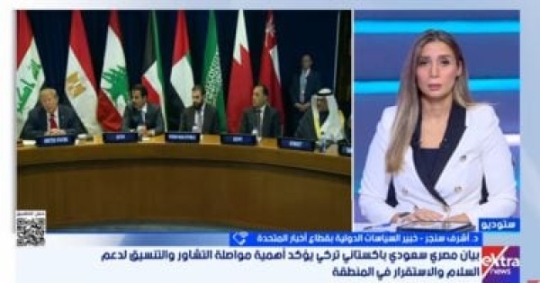 أشرف سنجر الدعم العربى للسعودية رسالة حاسمة ومصر تتحرك لمنع اتساع الصراع