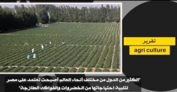 إشادة دولية بالزراعة تقرير دول حول العالم تعتمد على مصر لتلبية احتياجاتها