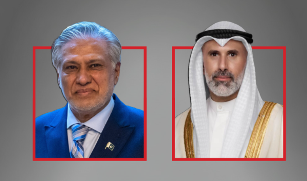 وزير الخارجية ونظيره الباكستاني يبحثان آخر التطورات الإقليمية