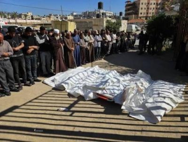 ارتفاع عدد شهداء الإبادة الإسرائيلية في غزة إلى 73 417 شهيدا ارتفاع عدد شهداء الإبادة الإسرائيلية في غزة إلى 73 417 شهيدا