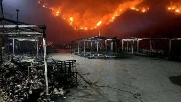 73 شخص ا ضحايا حرائق غابات الجزائر والرئيس تبون من غير المستبعد وجود أياد إجرامية 73 شخص ا ضحايا حرائق غابات الجزائر والرئيس تبون من غير المستبعد وجود أياد إجرامية