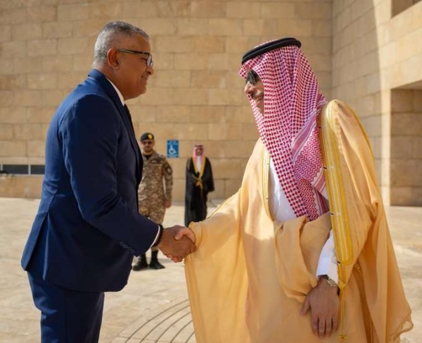 عاجل وزير الخارجية يبحث مع نائب رئيس جمهورية سيشل العلاقات الثنائية