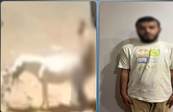 ضبط مواطن اعتدى جنسيا على حمار ضبط مواطن اعتدى جنسيا على حمار