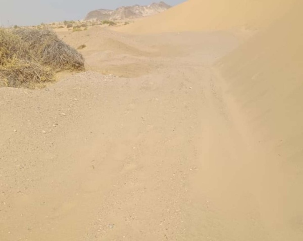 رئيس اللجنة الأهلية بمنطقة الحامية يشكر مدير عام رضوم وشركة الغاز لإزاحة الرمال من خط الحامية رئيس اللجنة الأهلية بمنطقة الحامية يشكر مدير عام رضوم وشركة الغاز لإزاحة الرمال من خط الحامية