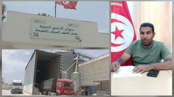 عضو المجلس المحلي بالنفيضة لـ الصباح نيوز تطو ر مهم في معدل الإنتاج الشهري لمعمل الأعلاف