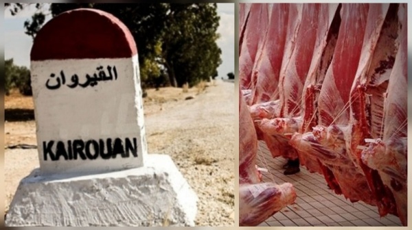 القيروان دراسة إحداث مسلخ بلدي مشترك بين نصرالله ومنزل المهيري القيروان دراسة إحداث مسلخ بلدي مشترك بين نصرالله ومنزل المهيري