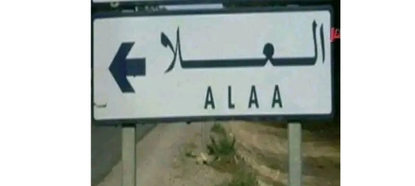 القيروان مصرع مسنة إثر هجوم كبش داخل حقل بالعلا
