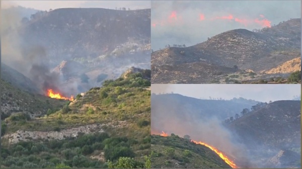 زغوان السيطرة على حريق جبل الشحمة وعمليات التبريد والمراقبة متواصلة زغوان السيطرة على حريق جبل الشحمة وعمليات التبريد والمراقبة متواصلة