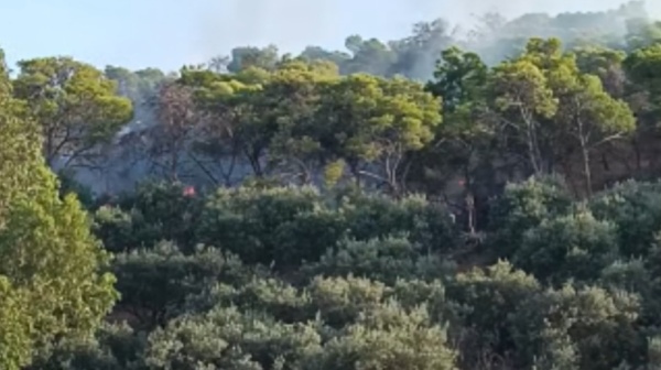 أريانة السيطرة على حريق بجبل الشرف بجعفر