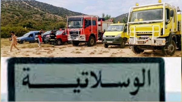 الوسلاتية أعوان الغابات والحماية المدنية يسيطرون على حريق جبل السرج بعد تدخل ميداني مكثف الوسلاتية أعوان الغابات والحماية المدنية يسيطرون على حريق جبل السرج بعد تدخل ميداني مكثف