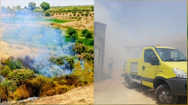 الوسلاتية السيطرة على حريق بجبل السرج بعد تضرر نصف هكتار من الغابات الوسلاتية السيطرة على حريق بجبل السرج بعد تضرر نصف هكتار من الغابات