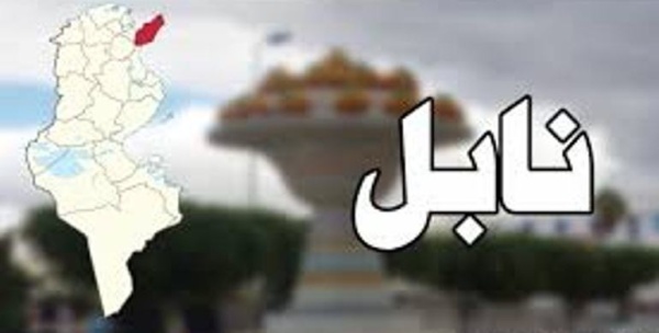 نابل السيطرة على عدد من الحرائق من بينها حريق بمنطقة عين كميشة اتى على 15 هكتارا من الأعشاب الجافة نابل السيطرة على عدد من الحرائق من بينها حريق بمنطقة عين كميشة اتى على 15 هكتارا من الأعشاب الجافة