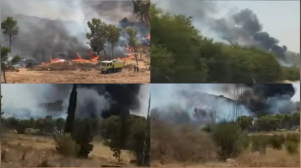 طبربة منوبة السيطرة على حريق جبل ميانة وتضرر هكتارين من الأشجار طبربة منوبة السيطرة على حريق جبل ميانة وتضرر هكتارين من الأشجار