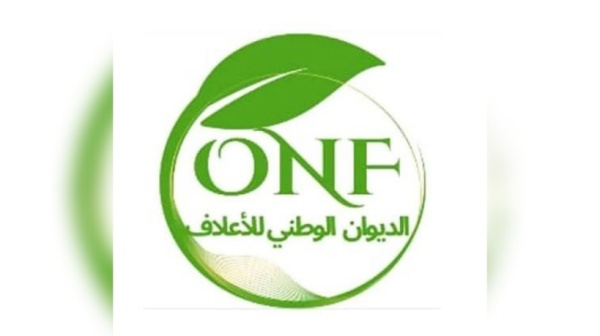 ديوان الاعلاف يقرر مراجعة سعر بيع الذرة العلفية
