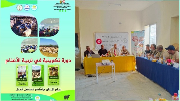 صفاقس دورات تكوينية لفائدة الفلاحين لدعم الإنتاج والرفع من المردودية