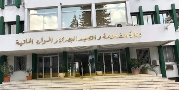وزارة الفلاحة أزمة الألبان نتاج عوامل هيكلية وظرفية وإجراءات لدعم المربين وإعادة تكوين القطيع وزارة الفلاحة أزمة الألبان نتاج عوامل هيكلية وظرفية وإجراءات لدعم المربين وإعادة تكوين القطيع