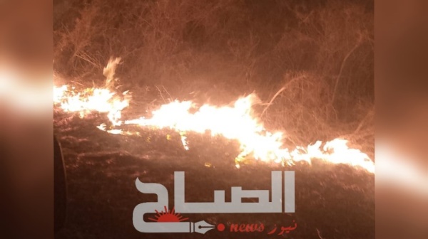 إخماد حريق أتى على نحو 12 هكتارا من بذور الزيت بمنطقة صيار