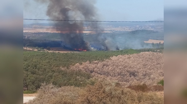 سجنان اندلاع حريق في غابة أولاد حسن سجنان اندلاع حريق في غابة أولاد حسن