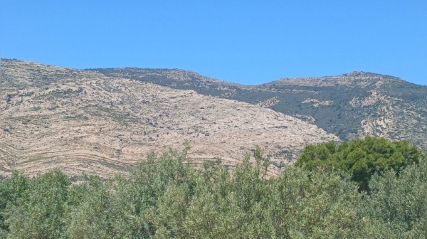 الوسلاتية السيطرة على حريق في جبل السرج الوسلاتية السيطرة على حريق في جبل السرج