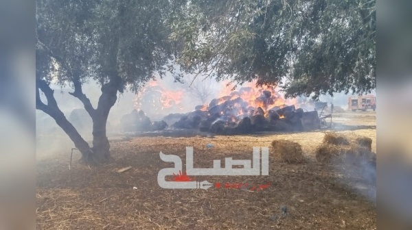 حريق بدوار جميع ببوسالم الحماية المدنية تتدخل وتمنع وصول النيران إلى المنازل