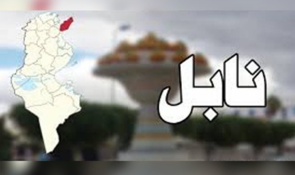 نابل إدراج 15 مشروع ا على منظومة tuneps بعد جلسة عمل لمجلس الإقليم الثاني