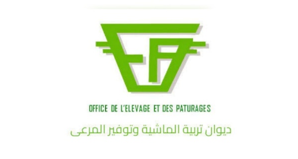 ديوان تربية الماشية يبحث تثمين مخلفات النخيل في التغذية الحيوانية ديوان تربية الماشية يبحث تثمين مخلفات النخيل في التغذية الحيوانية