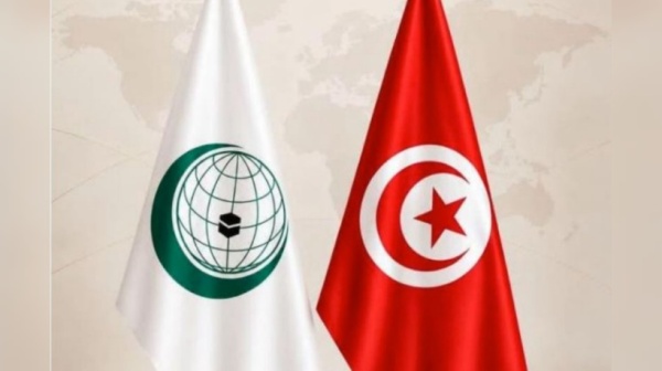 انتخاب مدير عام الشؤون القانونية بوزارة الخارجية عضوا بهيئة حقوق الإنسان التابعة لمنظمة التعاون الإسلامي انتخاب مدير عام الشؤون القانونية بوزارة الخارجية عضوا بهيئة حقوق الإنسان التابعة لمنظمة التعاون الإسلامي