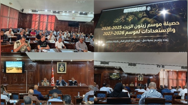 صفاقس الإعلان عن موعد افتتاح موسم جني الزيتون وتوقعات الإنتاج