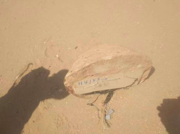 عاجل قوات دفاع شبوة ت حبط مخططا تخريبيا وتفكك 4 عبوات ناسفة في قطاع حراد