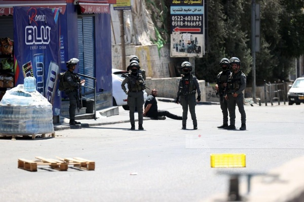 مستوطنون يعتدون على فلسطينية ويقتلعون عشرات أشجار الزيتون في الضفة