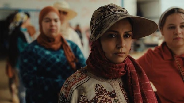 توت الأرض يمثل المغرب في سباق الأوسكار الـ99 توت الأرض يمثل المغرب في سباق الأوسكار الـ99