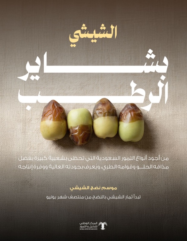 رطب الشيشي يتصدر المبيعات مع انطلاق موسم بشاير الرطب رطب الشيشي يتصدر المبيعات مع انطلاق موسم بشاير الرطب