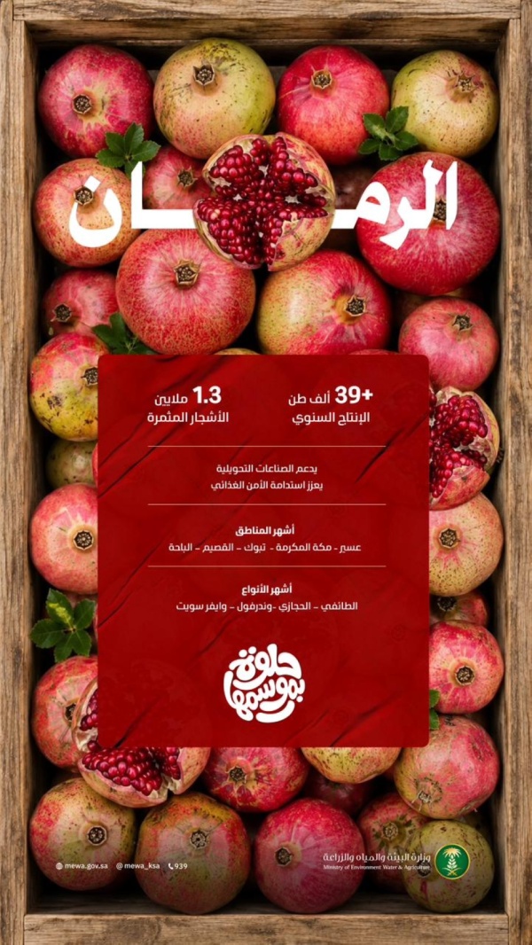 أكثر من 39 ألف طن من الرمان سنوي ا تعزز الإنتاج المحلي في المملكة