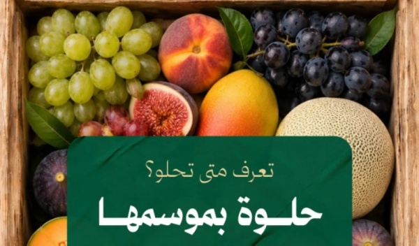 البيئة تطلق حملة للتعريف بالفواكه المحلية دعم ا للمزارعين والمنتجين البيئة تطلق حملة للتعريف بالفواكه المحلية دعم ا للمزارعين والمنتجين