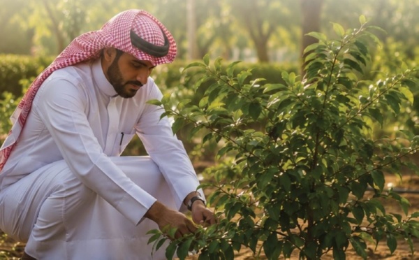 بينها قرية العليا 3 فرص تبرع لتشجير 225 7 ألف متر مربع في 3 محافظات بينها قرية العليا 3 فرص تبرع لتشجير 225 7 ألف متر مربع في 3 محافظات