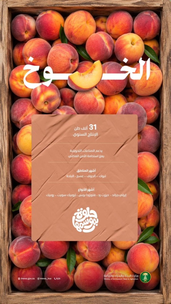 منافذ البيع تنتعش بأكثر من 31 ألف طن من الخوخ المحلي منافذ البيع تنتعش بأكثر من 31 ألف طن من الخوخ المحلي