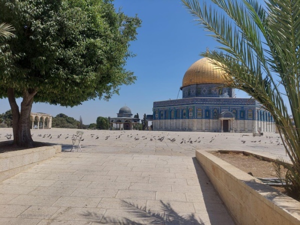 الاحتلال الإسرائيلي يغلق أبواب المسجد الأقصى أمام المصلين الاحتلال الإسرائيلي يغلق أبواب المسجد الأقصى أمام المصلين