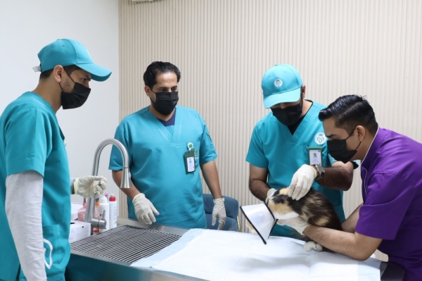 وقاء مكة يطلق حملة لتحصين الحيوانات الأليفة ضد السعار