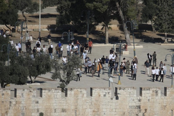 خارجية فلسطين الأقصى مكان عبادة للمسلمين ولا سيادة لإسرائيل عليه خارجية فلسطين الأقصى مكان عبادة للمسلمين ولا سيادة لإسرائيل عليه
