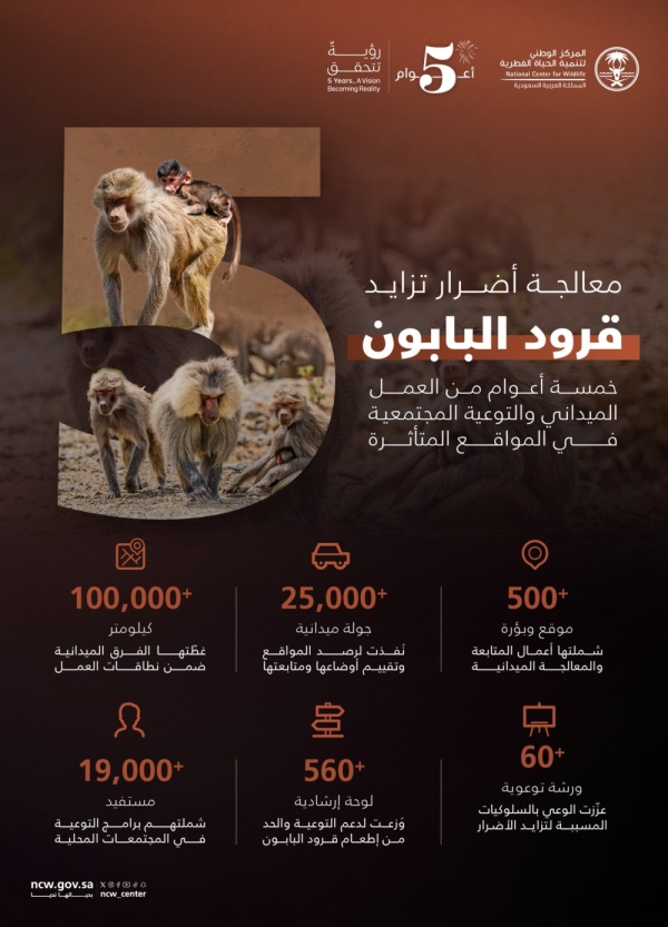 الحياة الفطرية جهود ميدانية متواصلة للحد من أضرار تزايد قرود البابون