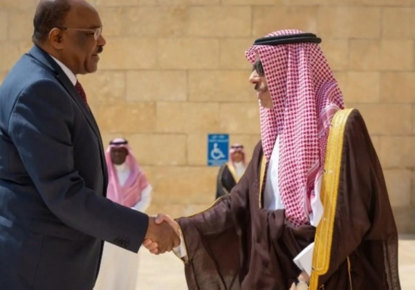 وزير الخارجية ونظيره السوداني يرأسان اجتماع لجنة المتابعة ويناقشان المستجدات