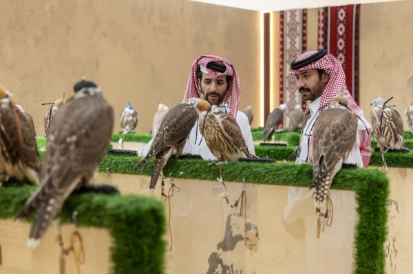 14 مزرعة جديدة مزاد إنتاج الصقور يواصل تعزيز مكانته عالمي ا 14 مزرعة جديدة مزاد إنتاج الصقور يواصل تعزيز مكانته عالمي ا