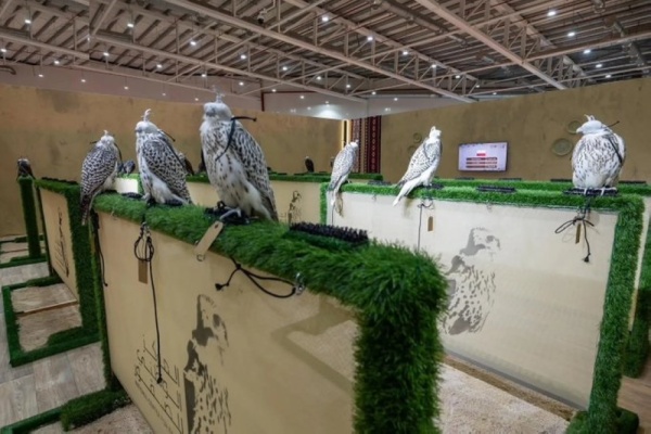 مزرعة سلوفينية تبيع كامل إنتاجها في المزاد الدولي للصقور مزرعة سلوفينية تبيع كامل إنتاجها في المزاد الدولي للصقور
