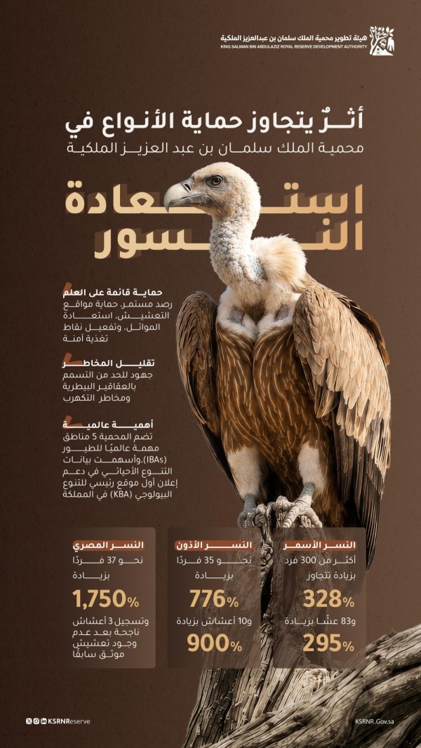 محمية الملك سلمان تسجل نجاحات استثنائية في استعادة النسور