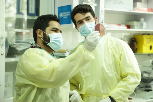 الصحة العالمية الوبائيات الميدانية تكشف الجائحة قبل تفاقمها والذكاء الاصطناعي يعزز المواجهة الصحة العالمية الوبائيات الميدانية تكشف الجائحة قبل تفاقمها والذكاء الاصطناعي يعزز المواجهة