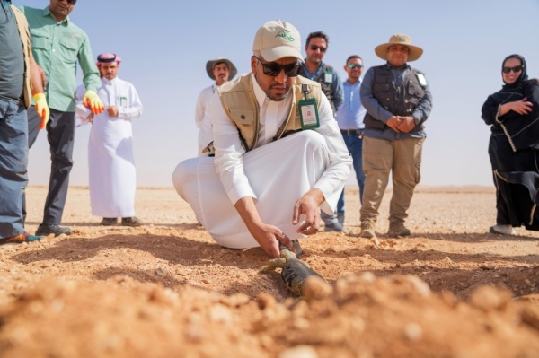 لدعم التنوع الأحيائي إطلاق أكثر من 140 ضب ا في محمية الملك خالد