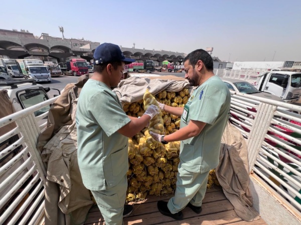 بيئة الشرقية تلاحق مخالفات تداول الخضار والفواكه وترصد الاستخدام غير الآمن للمبيدات