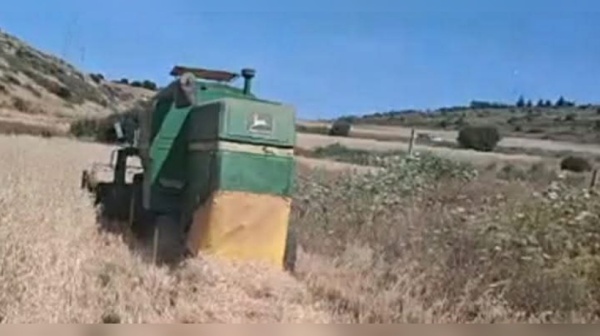 طبربة منوبة فلاحو الفزانين يطالبون بإحداث مسالك فلاحية طبربة منوبة فلاحو الفزانين يطالبون بإحداث مسالك فلاحية