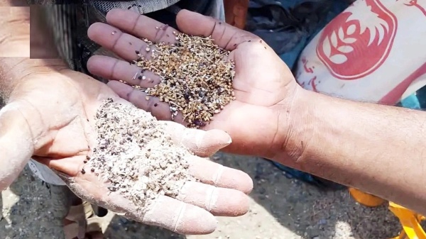 بذور نقية لموسم وفير غربلة البذور ت عزز جودة المحاصيل وت قلل الفاقد بذور نقية لموسم وفير غربلة البذور ت عزز جودة المحاصيل وت قلل الفاقد