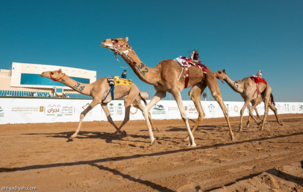 الجمعة انطلاق سباق سن الحقايق فما فوق الجمعة انطلاق سباق سن الحقايق فما فوق